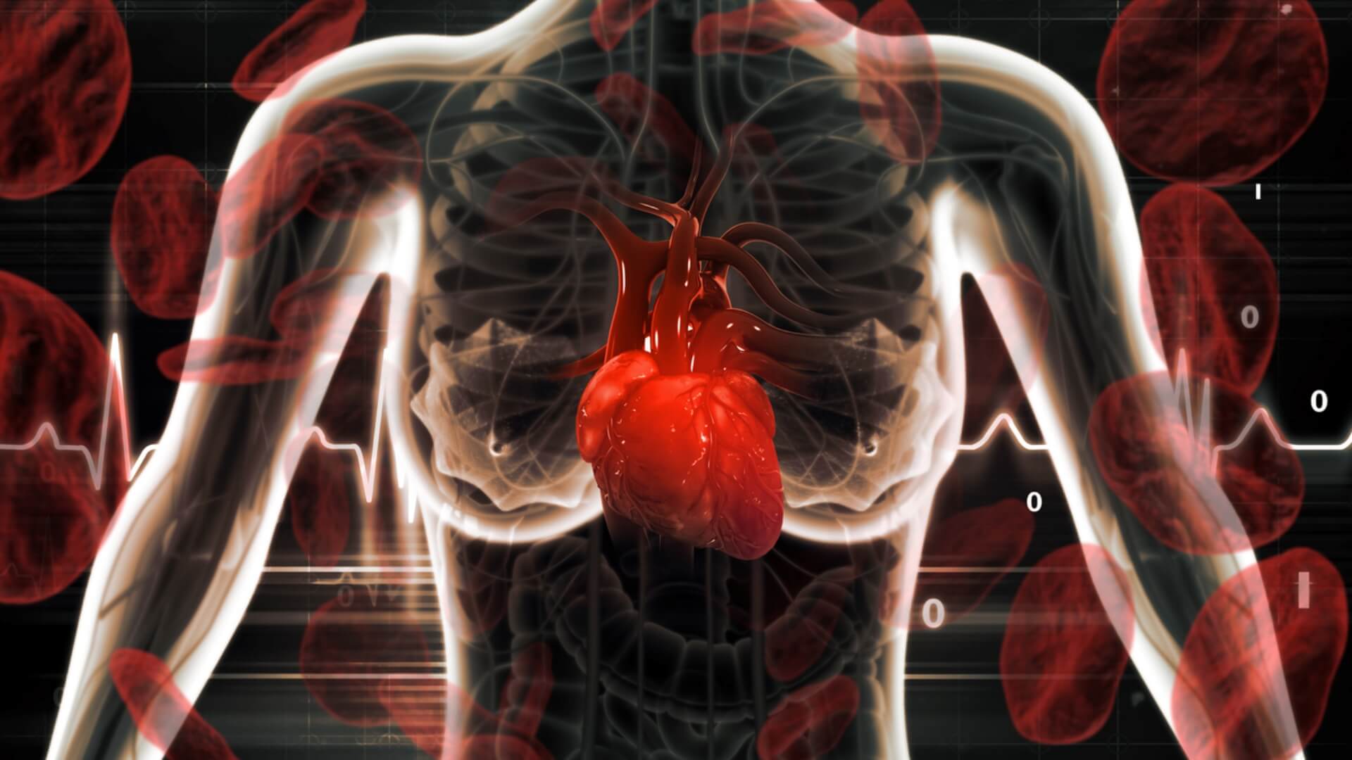 What is the Purpose of Basic Life Support A Lifesaving Guide | CPR1