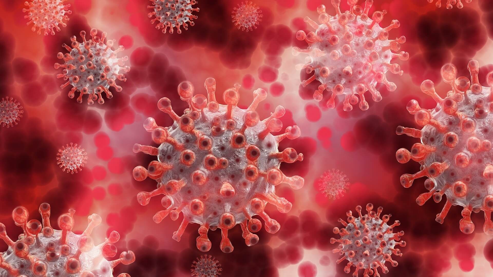 Comprehensive Guide to Preventing Bloodborne Pathogens Transmission | CPR1