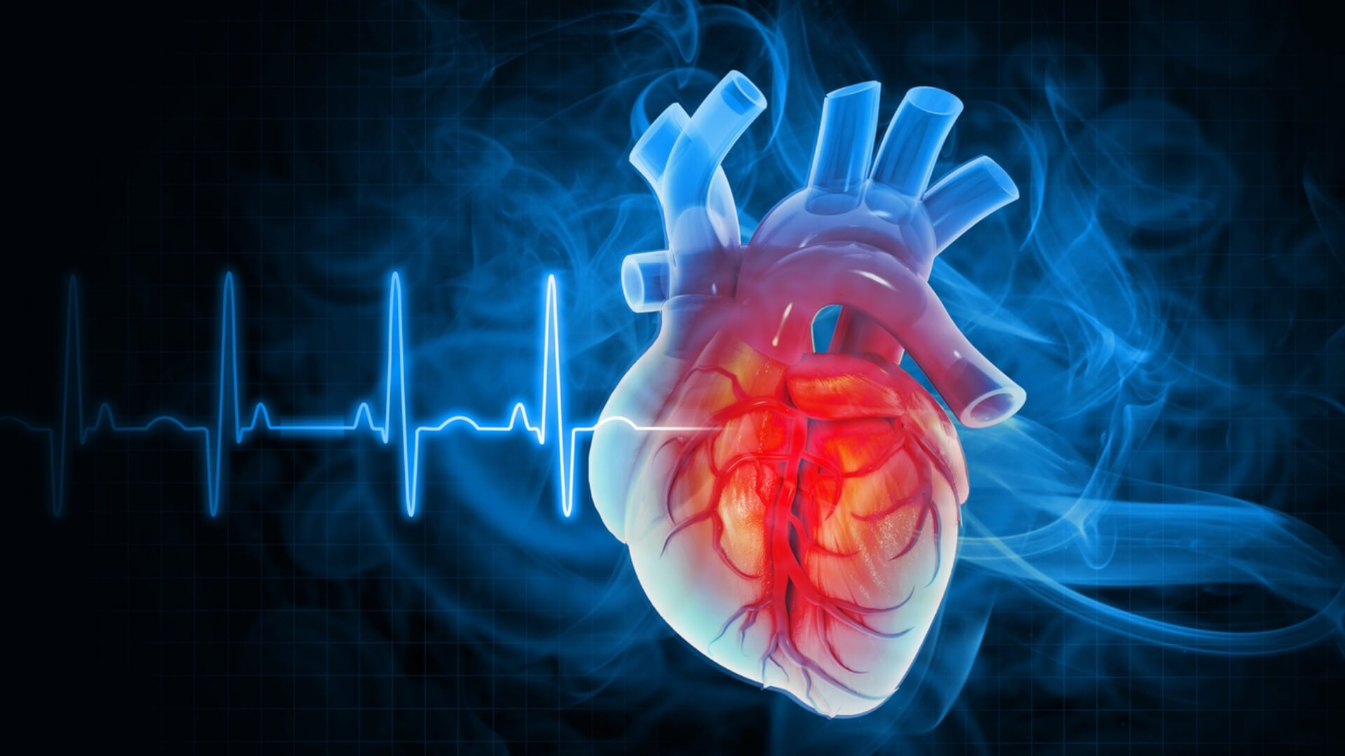 Why Do Top Athletes Like Usain Bolt Have Such a Low Resting Heart Rate | CPR1